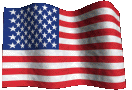 USA FLAG